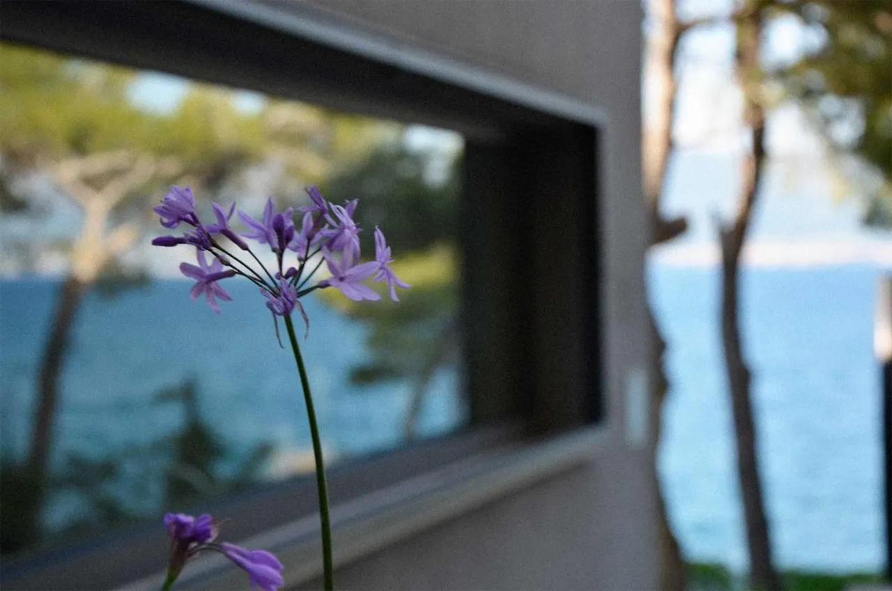 Inside/Outside Villa Slatine